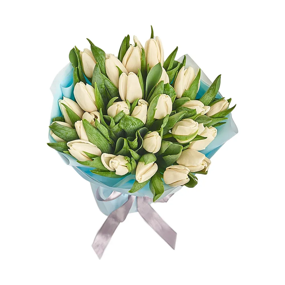 25 белых тюльпанов