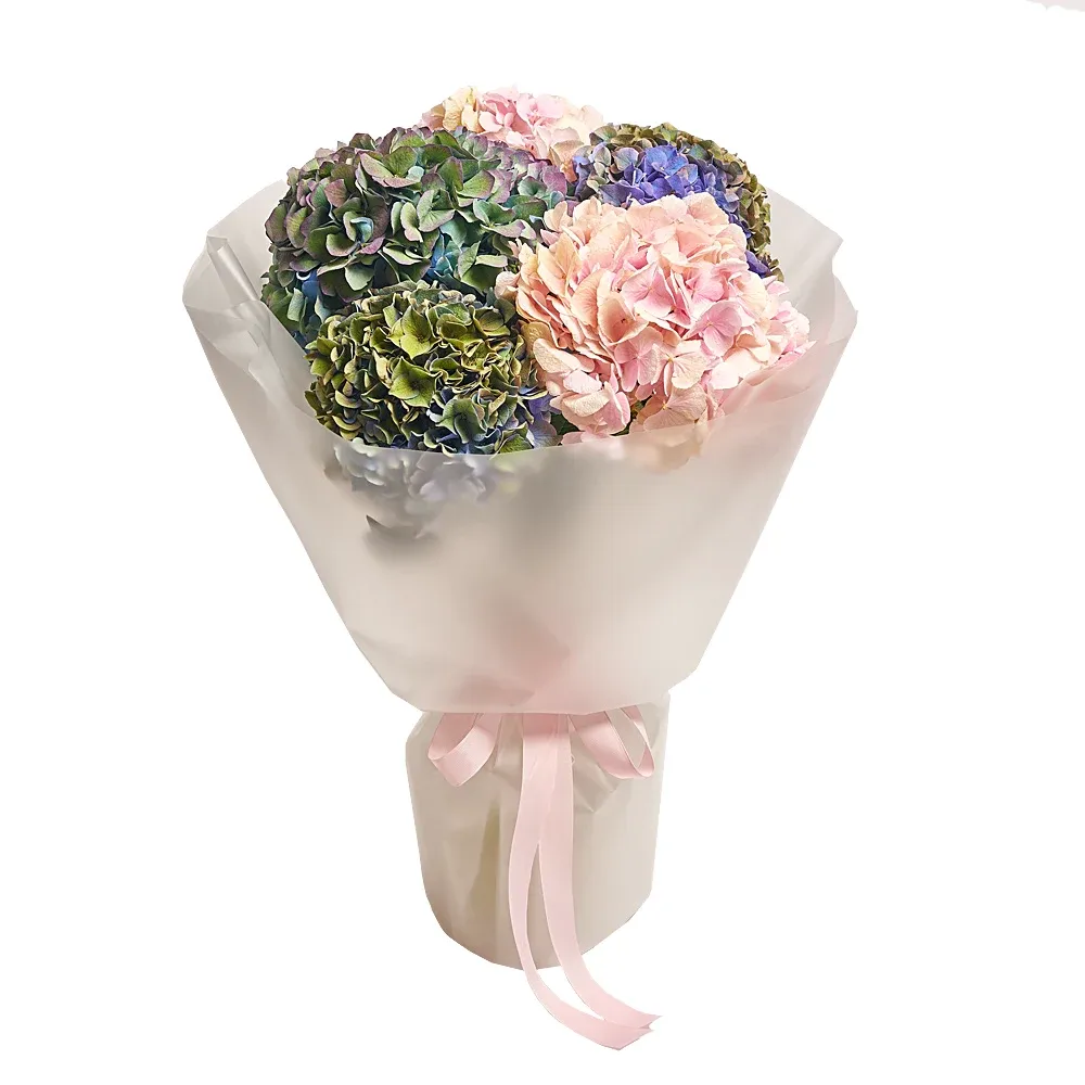 Моно букет из 5 гортензий микс №1